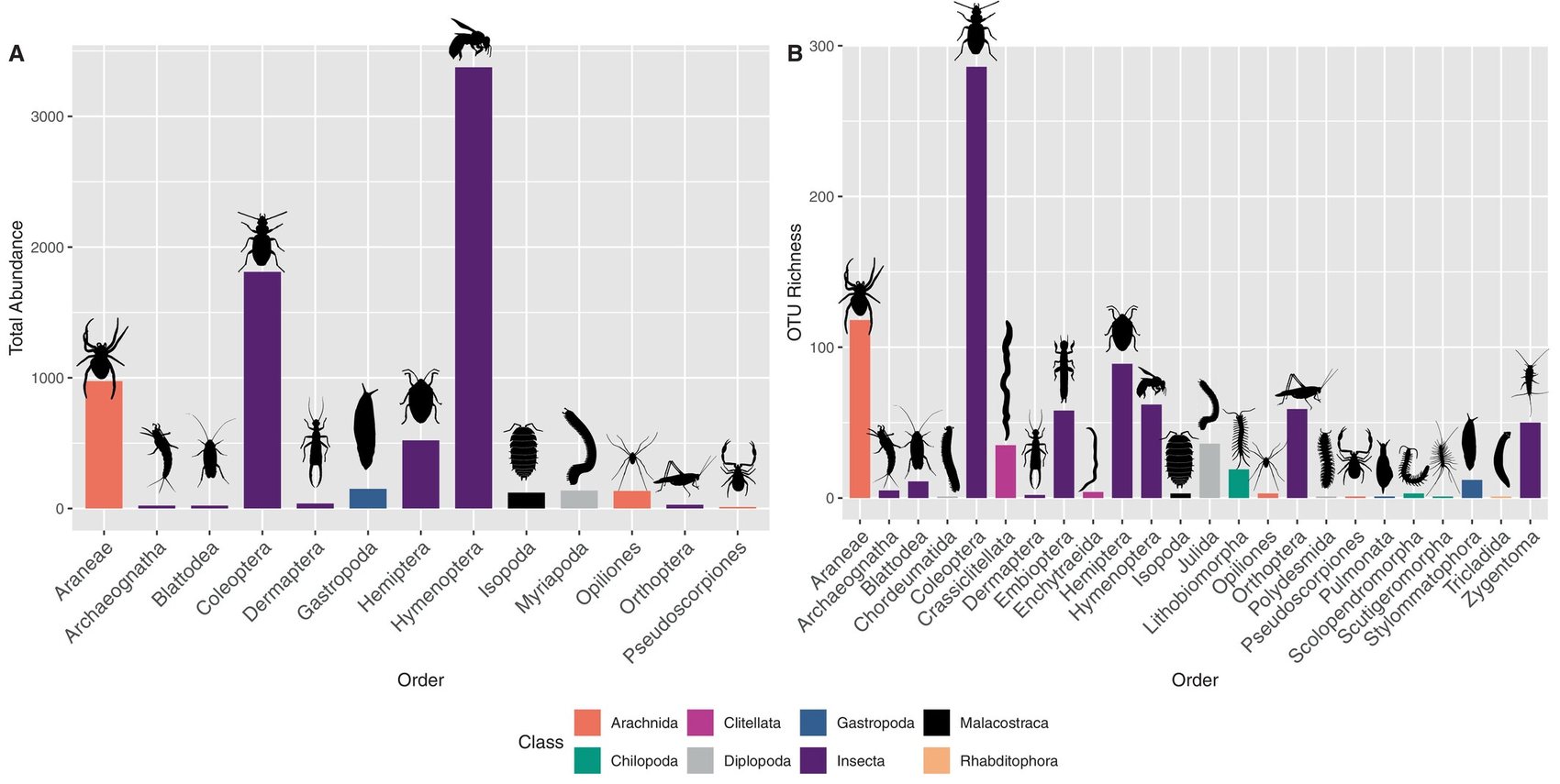 Total abundance and OTU richness of soil arthropod orders