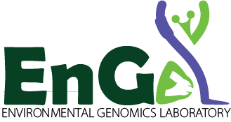 EnGeL