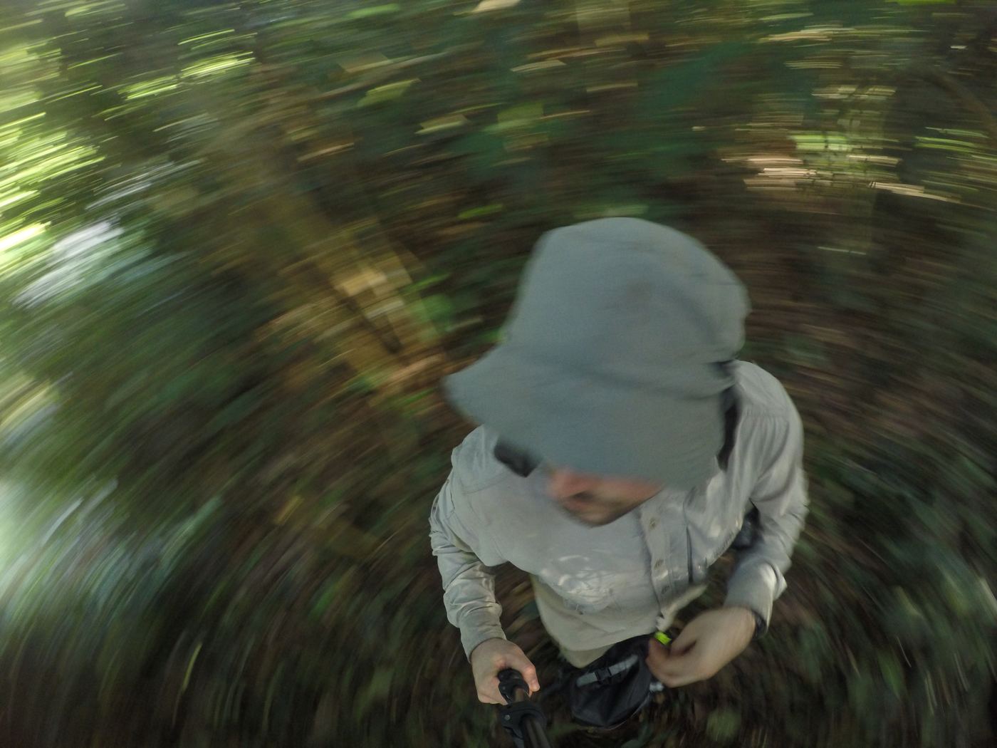 Fieldwork