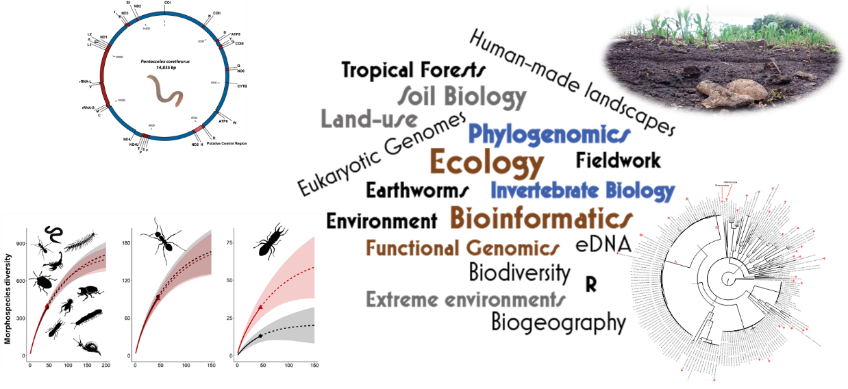 Integrated genomics workflow diagram