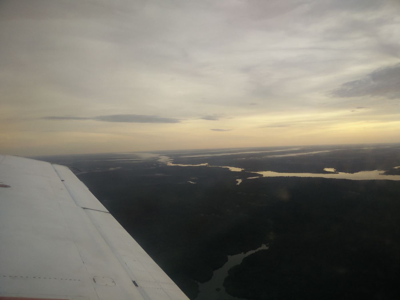 Amazon forest from above
