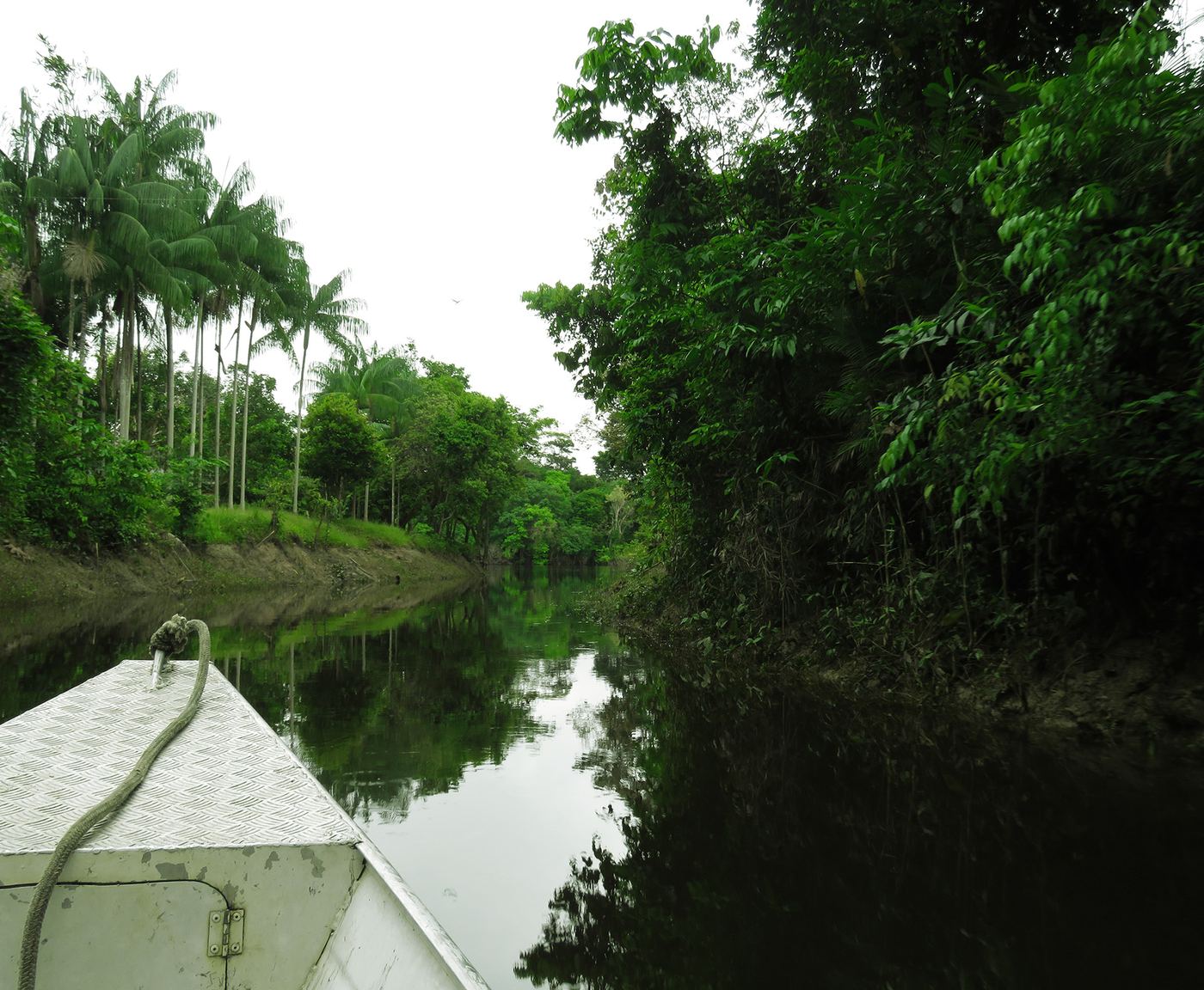 Manicor&eacute; River fieldwork