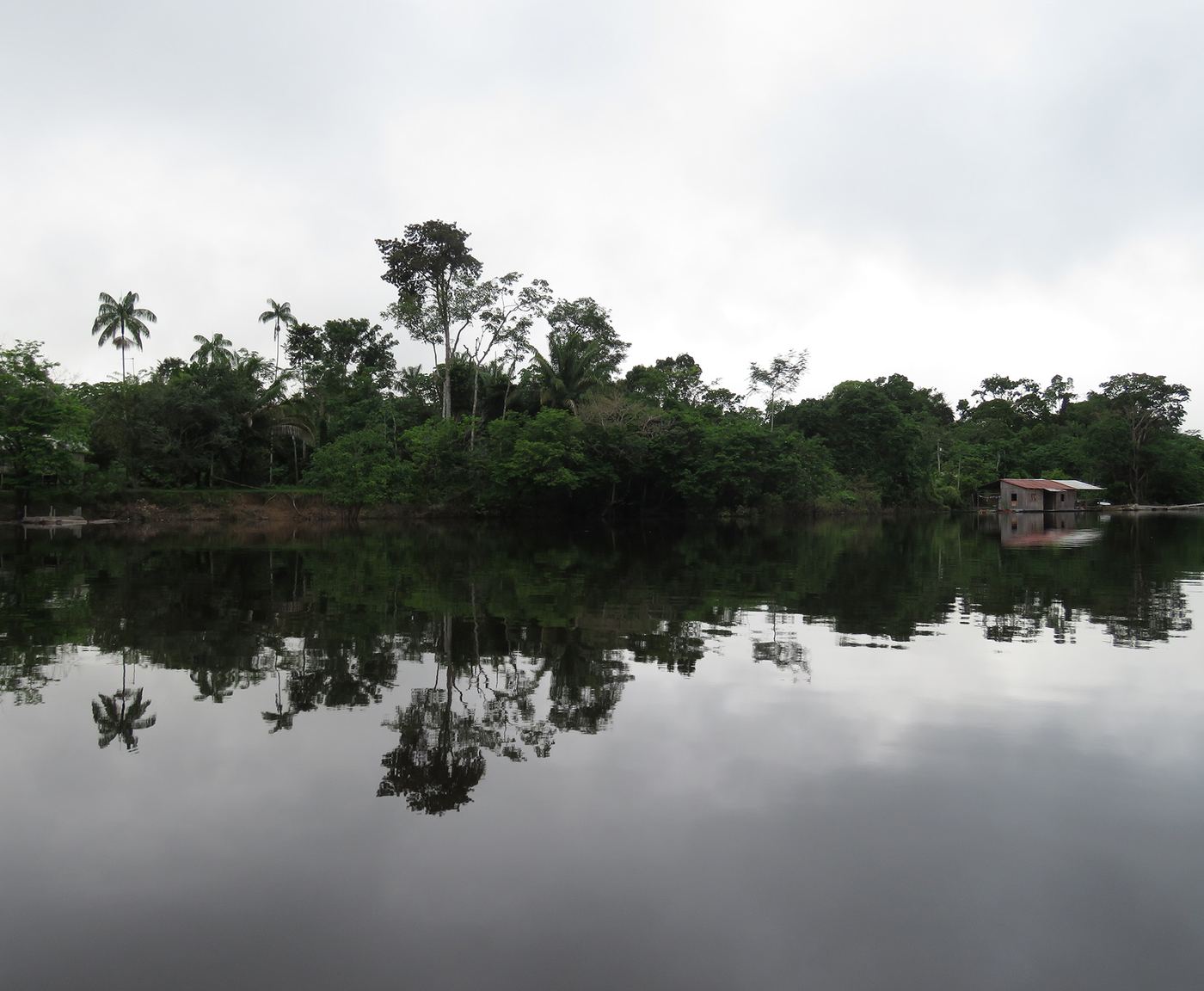 Manicor&eacute; River fieldwork